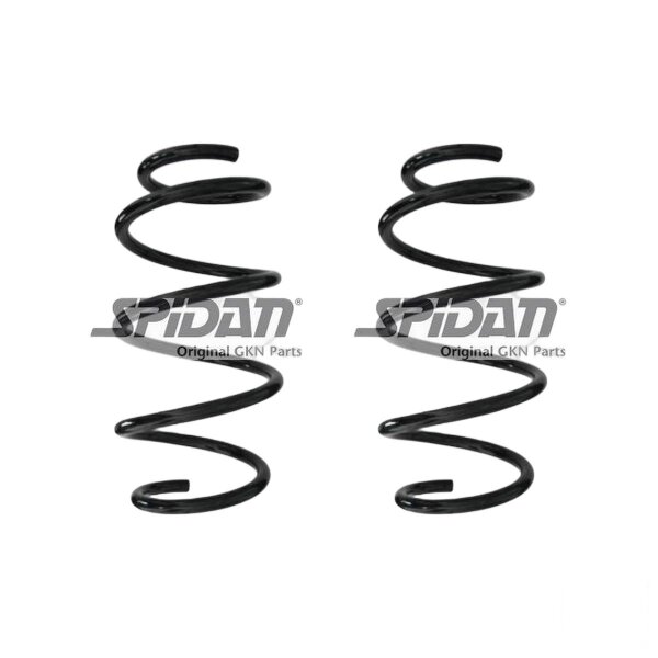Suspension spring set front coil spring 325mm SPIDAN for VW PASSAT B8