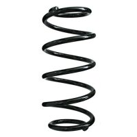 Fahrwerksfeder-Set vorne Schraubenfeder 316mm SPIDAN...