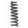 Fahrwerksfeder-Set hinten Schraubenfeder 333mm SPIDAN für MERCEDES C-KLASSE W205