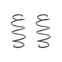 Suspension spring set front coil spring 317mm SPIDAN for...