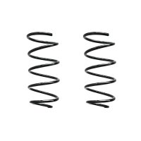 Fahrwerksfeder-Set vorne Schraubenfeder 319mm SPIDAN...