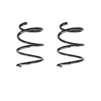 Fahrwerksfeder-Set vorne Schraubenfeder 298mm SPIDAN...