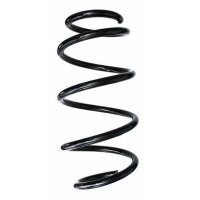 Fahrwerksfeder-Set vorne Schraubenfeder 317mm SPIDAN...