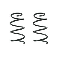 Suspension spring set rear coil spring 293mm SPIDAN for...