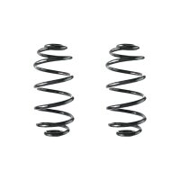 Fahrwerksfeder-Set hinten Schraubenfeder 296mm SPIDAN...