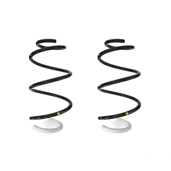 Suspension spring set front coil spring 316mm with sleeve SPIDAN for RENAULT