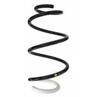 Fahrwerksfeder-Set vorne Schraubenfeder 316mm mit...