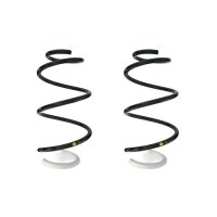 Suspension spring set front coil spring 316mm with sleeve...