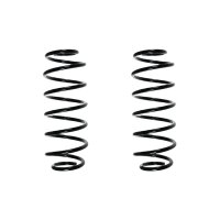 Suspension spring set rear coil spring 325mm SPIDAN for...