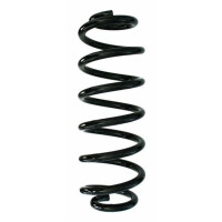Fahrwerksfeder-Set hinten Schraubenfeder 325mm SPIDAN...