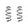 Suspension spring set front coil spring 347mm SPIDAN for SKODA FABIA III