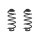 Fahrwerksfeder-Set hinten Schraubenfeder 335mm SPIDAN für BMW X6 (E71)