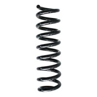 Fahrwerksfeder-Set hinten Schraubenfeder 318mm SPIDAN...