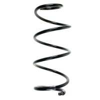 Fahrwerksfeder-Set hinten Schraubenfeder 205mm SPIDAN...