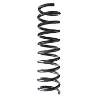 Fahrwerksfeder-Set hinten Schraubenfeder 420mm SPIDAN...