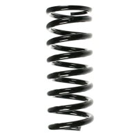 Fahrwerksfedern-Set hinten Schraubenfeder 358mm SPIDAN...