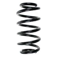Fahrwerksfeder-Set vorne Schraubenfeder 269mm SPIDAN...