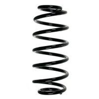Fahrwerksfeder-Set hinten Schraubenfeder 312mm SPIDAN...