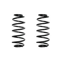 Suspension spring set rear coil spring 312mm SPIDAN for...