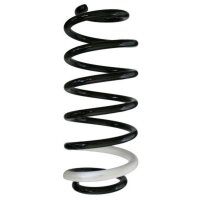 Fahrwerksfeder-Set hinten Schraubenfeder 370mm SPIDAN...