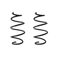 Suspension spring set rear coil spring 326mm SPIDAN for...