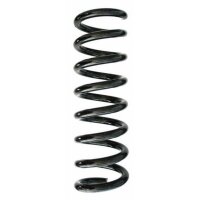 Fahrwerksfeder-Set hinten Schraubenfeder 319mm SPIDAN...