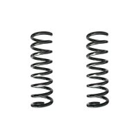 Suspension spring set rear coil spring 319mm SPIDAN for...