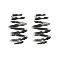 Fahrwerksfeder-Set hinten Schraubenfeder 256mm SPIDAN...