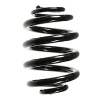 Fahrwerksfeder-Set hinten Schraubenfeder 256mm SPIDAN...