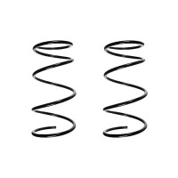 Fahrwerksfedern-Set vorne Schraubenfeder 360mm SPIDAN...