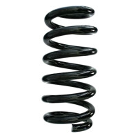 Fahrwerksfedern-Set hinten Schraubenfeder 332mm SPIDAN...
