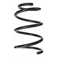 Fahrwerksfeder-Set hinten Schraubenfeder 243mm SPIDAN...