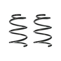 Suspension spring set rear coil spring 243mm SPIDAN for...