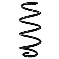 Fahrwerksfeder-Set hinten Schraubenfeder 266mm SPIDAN...