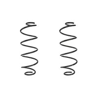 Suspension spring set rear coil spring 384mm SPIDAN for...