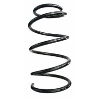Fahrwerksfeder-Set vorne Schraubenfeder 320mm SPIDAN...