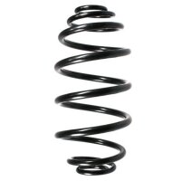 Fahrwerksfeder-Set hinten Schraubenfeder 319mm SPIDAN...