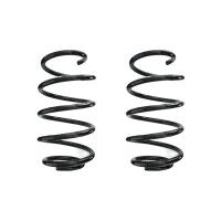Suspension spring set front coil spring 305mm SPIDAN for...