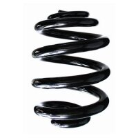 Fahrwerksfeder-Set hinten Schraubenfeder 250mm SPIDAN...