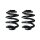 Suspension spring set rear coil spring 250mm SPIDAN for VW TRANSPORTER T5