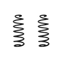 Suspension spring set rear coil spring 370mm SPIDAN for...