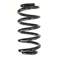 Fahrwerksfeder-Set vorne Schraubenfeder 289mm SPIDAN...