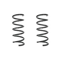 Fahrwerksfeder-Set hinten Schraubenfeder 300mm SPIDAN...