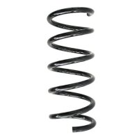 Fahrwerksfeder-Set hinten Schraubenfeder 300mm SPIDAN...