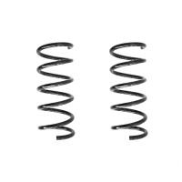 Suspension spring set rear coil spring 300mm SPIDAN for...