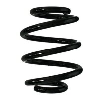 Fahrwerksfeder-Set hinten Schraubenfeder 171mm SPIDAN...