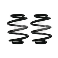 Fahrwerksfedern-Set hinten Schraubenfeder 171mm SPIDAN...