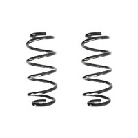 Fahrwerksfeder-Set vorne Schraubenfeder 325mm SPIDAN...