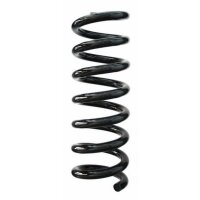 Fahrwerksfeder-Set hinten Schraubenfeder 298mm SPIDAN...