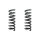 Suspension spring set rear coil spring 298mm SPIDAN for MERCEDES C KLASSE W204